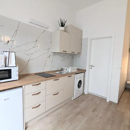 Apartment Metelkova *